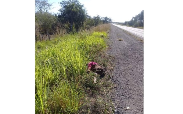 En Escuinapa, hallan a una mujer sin vida junto a la carretera federal