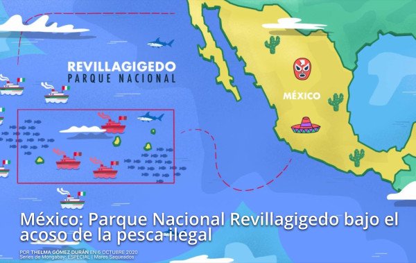 México: Parque Nacional Revillagigedo bajo el acoso de la pesca ilegal