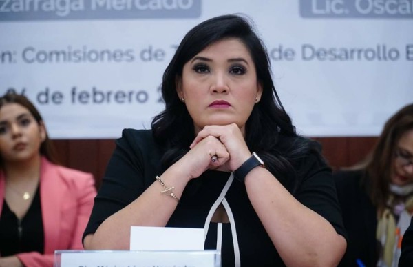 Lamentable, que AMLO se niegue a ver la realidad económica del país: diputada Mónica López