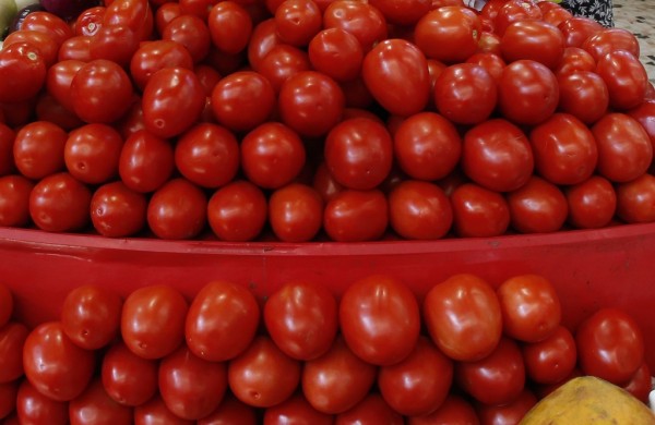 El tomate, nuevo punto de tensión entre México y Estados Unidos