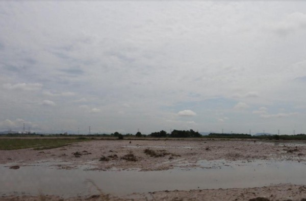 Sector agropecuario, con $800 millones en daños, calculan