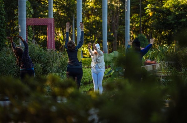 Personas disfrutan del Jardín Botánico.