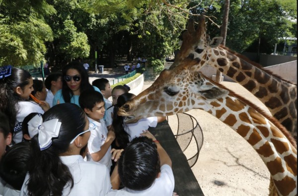 Proponen el cierre del Zoológico de Culiacán