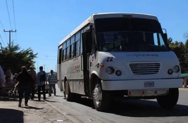 El sector transportista de Sinaloa descarta que sean necesarias nuevas concesiones debido a que se encuentran saturados.