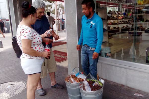 Los exóticos chapulines de Oaxaca invaden el Centro de Culiacán