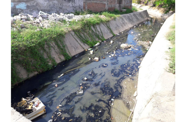 Saturan basura y maleza canales pluviales de Mazatlán