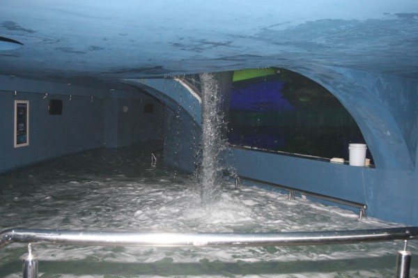 Tres imputados por caso Tiburonario estuvieron juntos ante juez, pero se pospuso audiencia intermedia