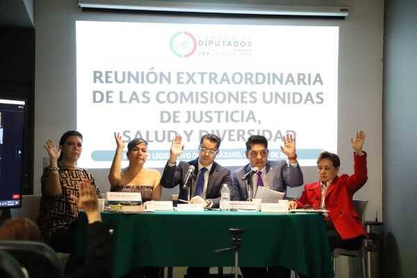 Comisiones Unidas de la Cámara de Diputados votaron a favor de prohibir terapias de conversión sexual.