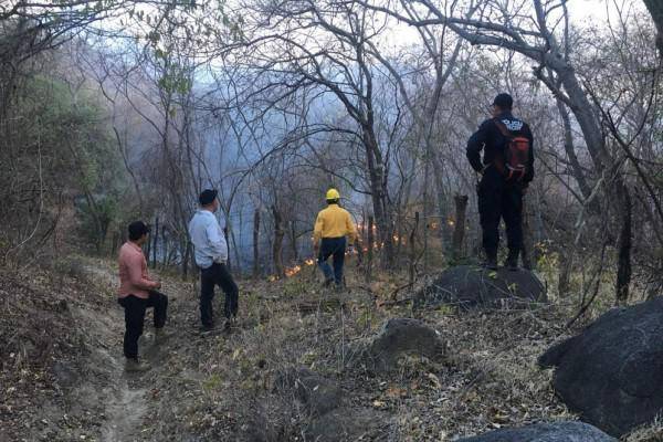 Los incendios se han presentado en zonas de Badiraguato, Sinaloa, El Rosario y San Ignacio.