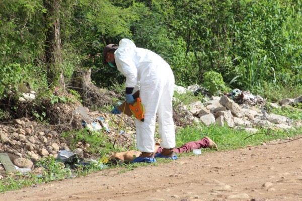 El Segundo Informe de AMLO prevé nuevo récord de homicidios en 2020, con 40 mil 863