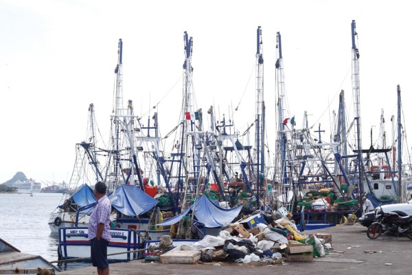 Contra viento y marea, 80% de la flota de Mazatlán zarpa para dar inicio a la temporada del camarón