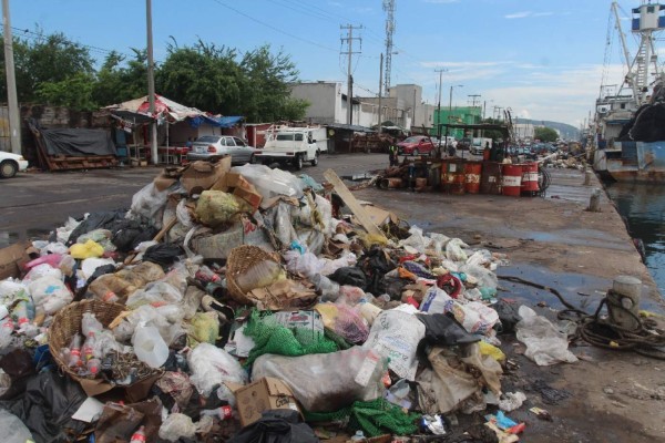 Reprobado en ecología, primer año de Gobierno municipal de Mazatlán: Cemaz