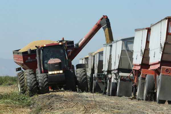Los mexicanos piden apertura, al igual que importadores y productores de Estados Unidos de maíz, soya, carne y arroz, entre otros.