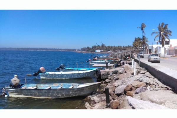 Teacapán, el pueblo de pescadores que dejó de ser exportador