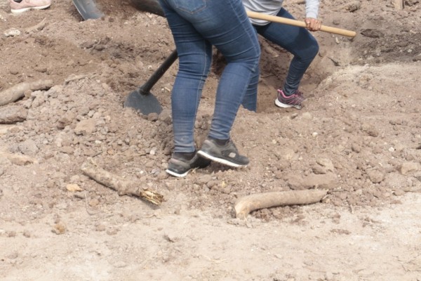 Rastreadoras mazatlecas anuncian desintegración del colectivo