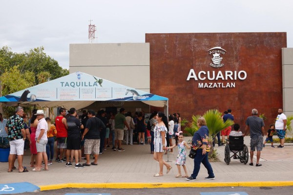 Acuario Mazatlán extiende promoción por El Buen Fin