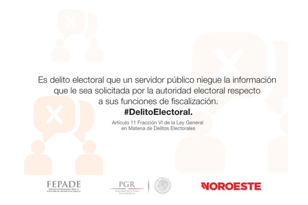 ELECCIONES 2018 ¡Mapaches a la vista! Conozca cómo detectar las transas electorales
