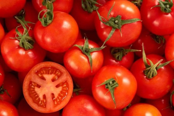 Da la Corte de EU revés al tomate mexicano; seguirá pago de arancel