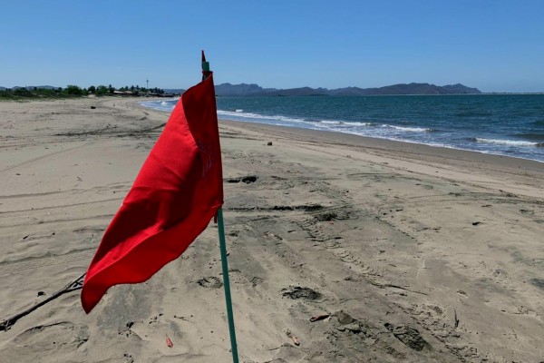 Mantienen cerrada la playa de El Maviri por aguamalas