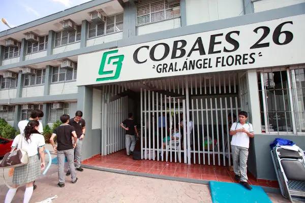 Cierra Cobaes el 2024 con números negativos; elevó sus gastos casi en $150 millones