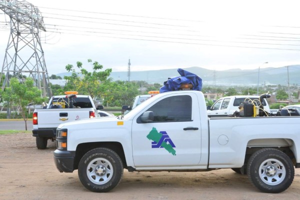 Los casos de dengue en Sinaloa suben hasta 350%