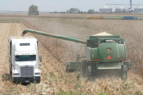 IGAE suma tercera caída; baja 0.34% en febrero por menos servicios y manufactura