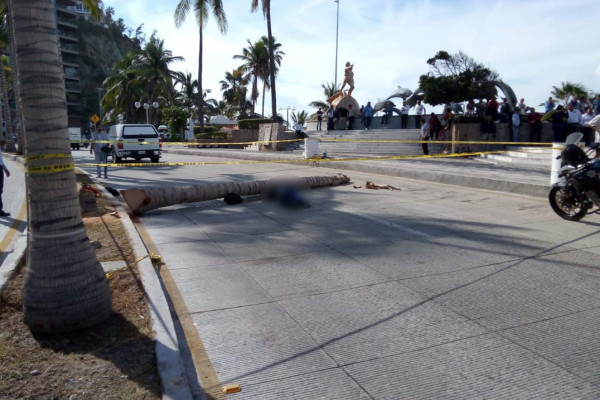 Culpa El Químico a la administración pasada por la palmera que cayó a trabajador del Ayuntamiento
