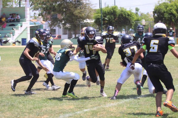 Recibe Halcones de Mazatlán a Águilas de Guadalajara, este fin de semana