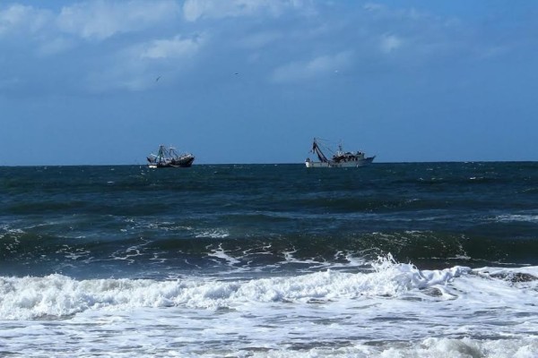 Dirigente pesquero denuncia irregularidades en barcos sardineros y permisos irregulares