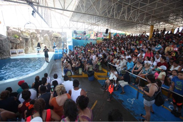 Promoverán Acuario Mazatlán en cruceros turísticos