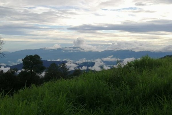 Ecosistema: Desafíos ambientales de México en 2021