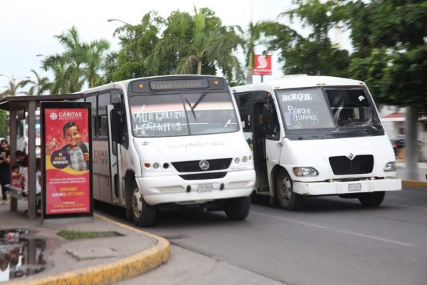 En Mazatlán, 20 camiones urbanos nuevos con aire acondicionado circularán en octubre