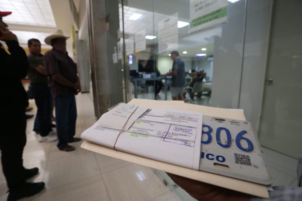 Vialidad y Transporte de Mazatlán carece de placas