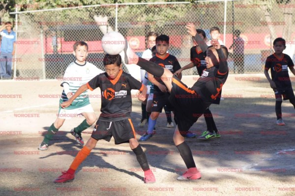 N’Play Soccer derrota 3-2 a Escuela Santos y se corona campeón de futbol en la Copa Delfines 2018