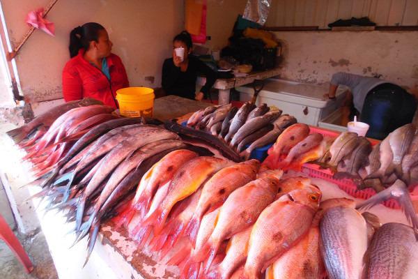 Aumenta precio de legumbres y vegetales casi un 50% en Cuaresma, mientras que pescados y mariscos 20.26%