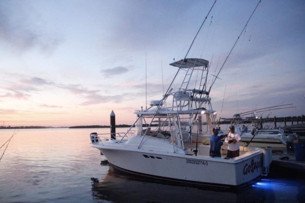 Se presenta XVII torneo de pesca Offshore Altata 2018