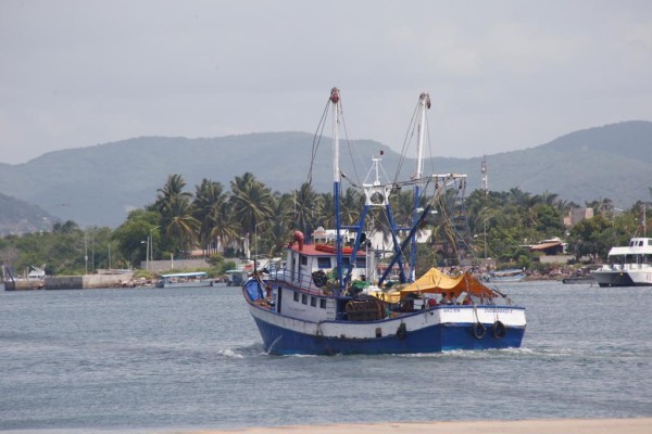 Por falta de subsidio al diésel, alrededor de 200 barcos no saldrán a pescar camarón: Pescadores