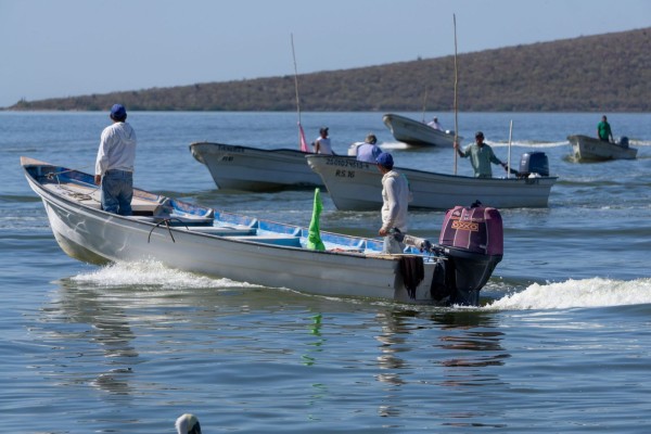 Conapesca reconoce este día como el Día Internacional del Cooperativismo Pesquero
