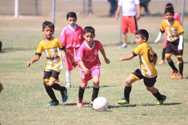 Escorpiones vence a Panteras FM en la categoría Osos.