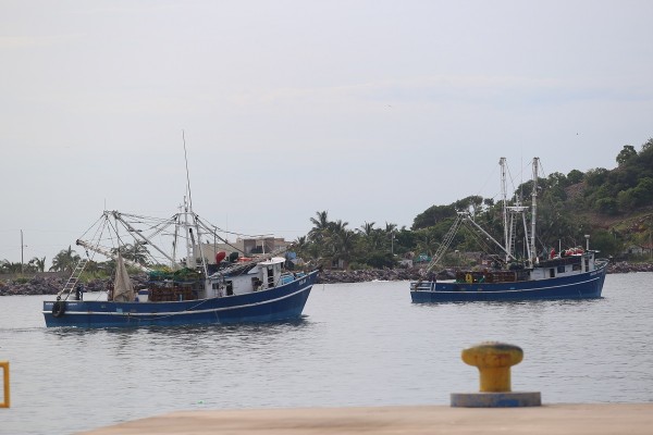 Revelan que propuesta del PEF 2020 no trae un solo peso para inspección y vigilancia pesquera