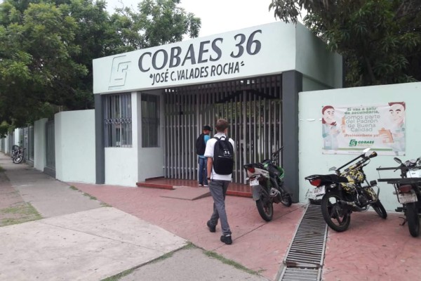 Cobaes conserva su matrícula en Mazatlán: Echeagaray