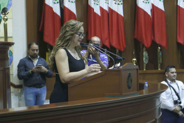 Se solventarán las ‘fallas’ de Sistema Anticorrupción: Irma Tirado