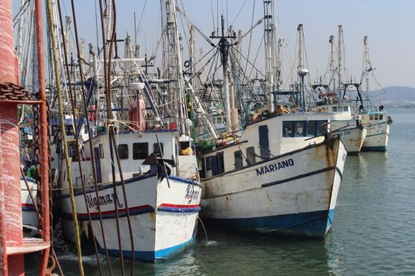 Los barcos pesqueros mexicanos volverán a ser inspeccionados por Estados Unidos y autoridades pesqueras de México.