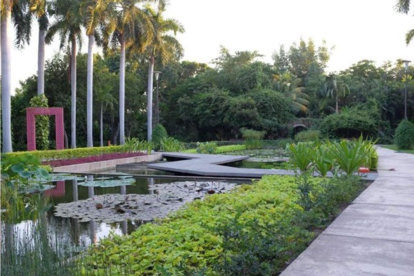 Gobierno de Culiacán no pagará luz y agua del Jardín Botánico