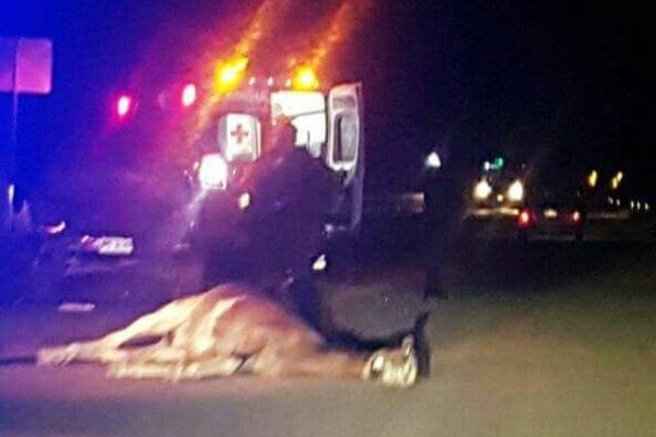 Mata autobús a un caballo en Pradera Dorada en Mazatlán