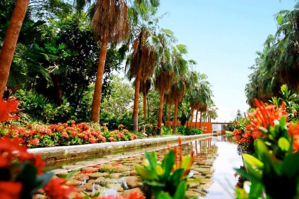 Jardín Botánico tendrá nuevas colecciones de plantas y de arte