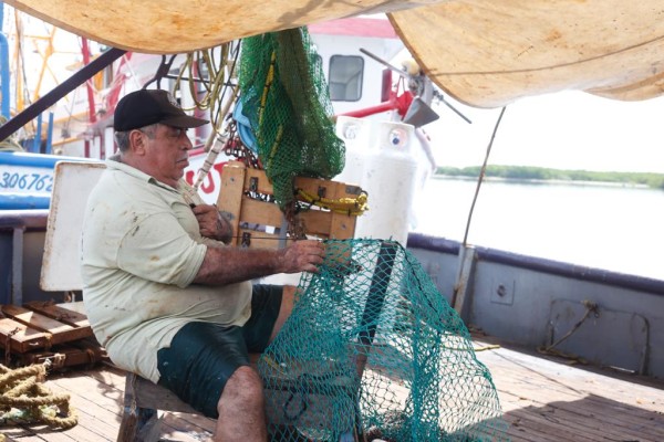 Sin esperanzas de subsidio al diesel marino, barcos 'arrecian' trabajos para salir a pescar en Mazatlán