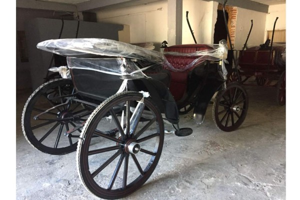 Presentan calandrias para Mazatlán; defienden proyecto