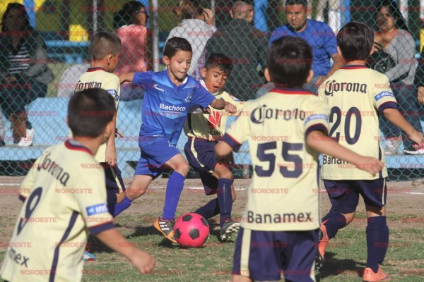 Liga de Futbol Infantil y Juvenil Municipal será una realidad en 2018