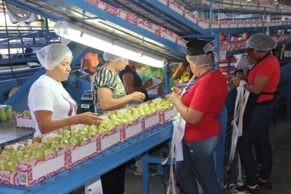 Pierde Sinaloa 17 mil empleos y 229 empresas ante pandemia: Secretaría de Economía